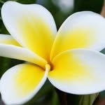 Sharon Devlin - @sharondevlin2 - Instagram