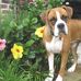 Sharon Devlin - Facebook