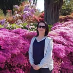 Sharon Devlin - @sharondevlin - Instagram