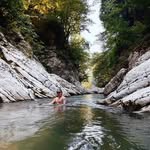 Sharon Dewitt - @sharondewitt733 - Instagram