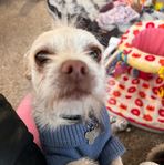Sharon Deyoung - Facebook