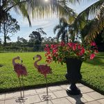 Sharon Joyce Dinges - @piyoy73153 - Instagram