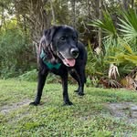 Sharon Joyce Dinges - @sharon_dinges - Instagram