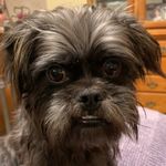 Sharon Dingman - @sharon.dingman.92 - Instagram