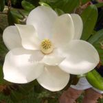 Sharon Dismuke - @sharon.dismuke.96 - Instagram
