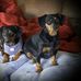 Sharon Doane - Facebook