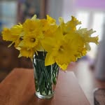 Sharon A Dodd - @sharon_dodd - Instagram