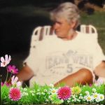 @sharon_dodd_vandyke - Instagram