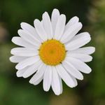 Sharon Doerr - @doerr3676 - Instagram
