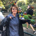 Sharon Doerr - @sharondoerr71 - Instagram