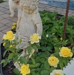 Sharon Doerr - Facebook