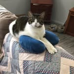 Sharon Doran - @arch323232 - Instagram