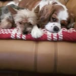 Sharon Doran - @sharon.doran.144 - Instagram