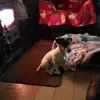 Sharon Doran - @sharon.doran - TikTok