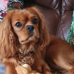 Sharon Doran - @sharon_doran - Instagram