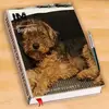 Sharon Doran daisy890 - @sharon.doran.dais - TikTok