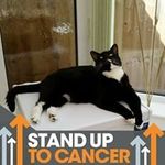 Sharon Dore - @sharon.dore.3701 - Instagram