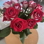 Sharon Doria - Facebook