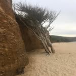 Shally Dally - @sharondorrington - Instagram