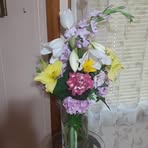 Sharon Dorr - Facebook