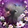 sharondorrisshaw - @sharon.dorris.sha - TikTok