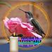 Sharon Doucet - Facebook