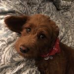 Sharon Doucet - @doucet253 - Instagram