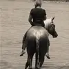Sharon Dow - @sharon_splash - TikTok