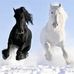 Sharon Dow - Facebook