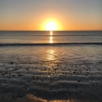 Shazzer - @sharondow - Instagram