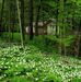 Sharon Dowden - Facebook