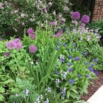 Sharon Dowler - @sddowler - Instagram