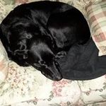 Sharon Downey - @downey.sharon - Instagram