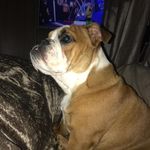 Sharon Downey - @shaq_1958 - Instagram