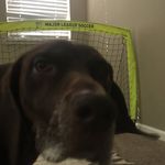 Sharon Driscoll - @gage_guest16 - Instagram