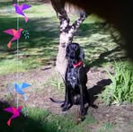 Sharon Driscoll - Facebook