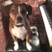 Sharon Drown Lowe - Facebook