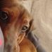 Sharon Drumm - Facebook