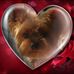 Sharon Duda - Facebook