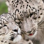 Sharon Duerr - @sharon_m_l - Instagram