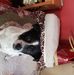 Sharron Duff - Facebook