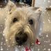 Sharon Duffus - Facebook