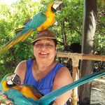 @sharon_dufour266 - Instagram