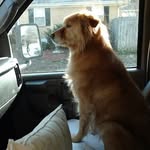 sharon dugger - @corndogsfriends - Instagram