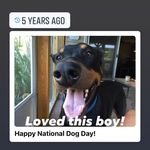 Sharon Dukes - @dukes565 - Instagram