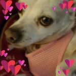 Sharon Dukes - @sharon.dukes.338 - Instagram
