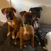 Sharon_Dunaway - @sharondunaway81 - TikTok