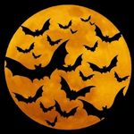 Sharon Dunning - @sharon.dunning.14 - Instagram