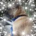 Sharon Dunning - Facebook