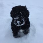 Sharon Ann Dunsmore - @sharonkilanowski - Instagram